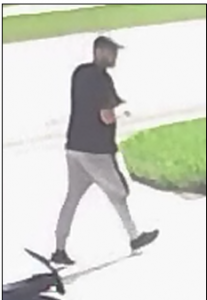 12.29.15 wellington2